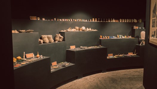 Tour du lịch trong ngày